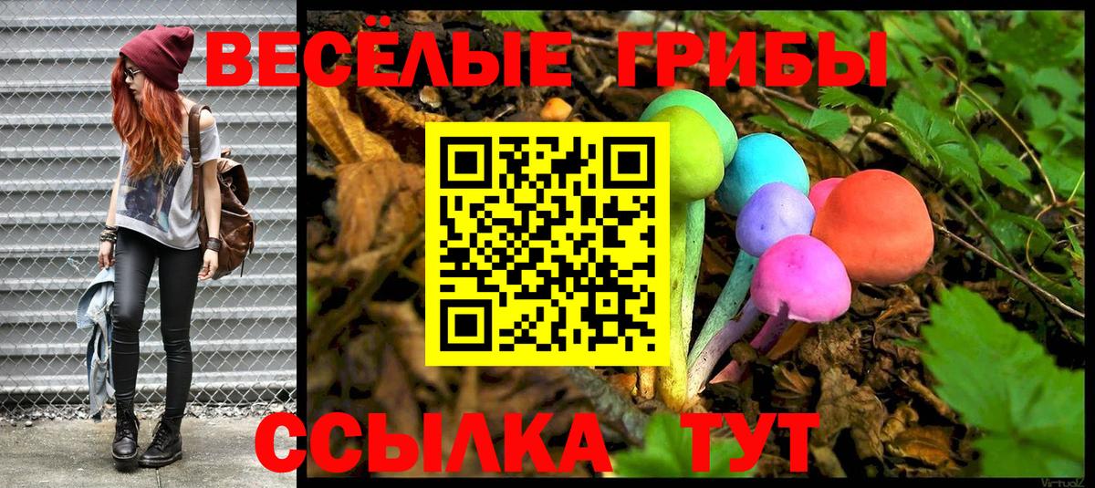 Псилоцибиновые грибы Psilocybine cubensis Арзамас