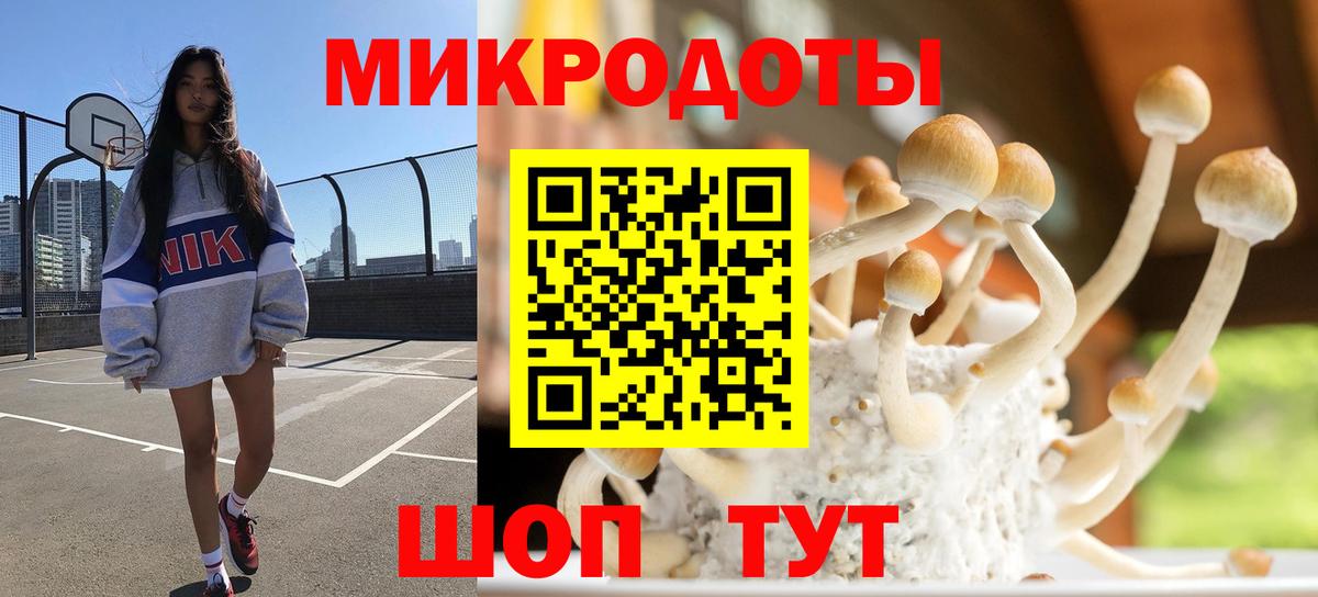Галлюциногенные грибы прущие грибы  Вход с VPN  Арзамас 